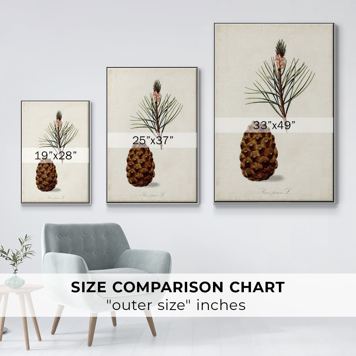 Antique Tree Study V - Framed Gallery Wrapped Holiday Canvas - 17 x 25 - White Frame