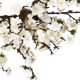 thumbnail image 3 of Nearly Natural 4191 Corona De Flor De Ciruelo Blanca De 24"", 3 of 4
