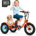 thumbnail image 4 of ABORON 16" Kids Electric Tricycle for Beginner Riders, 3 Wheel Electric Bikes for Boys Girls, 250W 24V Fat Tire Electric Trike, Aluminum Frame Motored Trike with Adjustable Seat and Removable Battery, 4 of 11