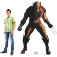 thumbnail image 3 of Advanced Graphics 3556 62 x 45 Po Découpe de Carton Wolverine & 44; Merveille Collection Intemporelle, 3 of 4