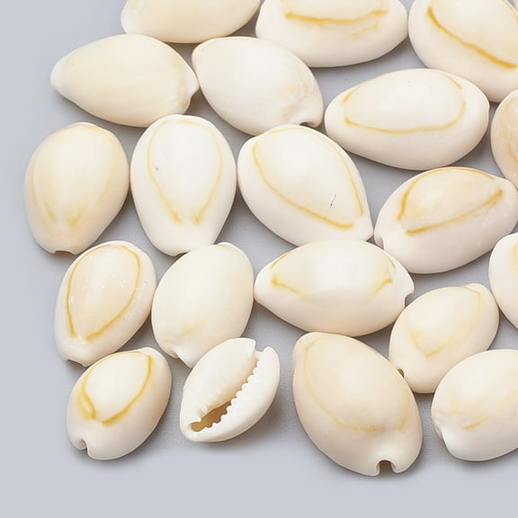 500gs Cowrie Shell Beads Seashell color 12~17x8~11x6~9mm about 1000pcs/500g