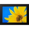 thumbnail image 2 of Mahan, Kathy 24x17 Black Modern Framed Museum Art Print Titled - Sunflower on Blue III, 2 of 5