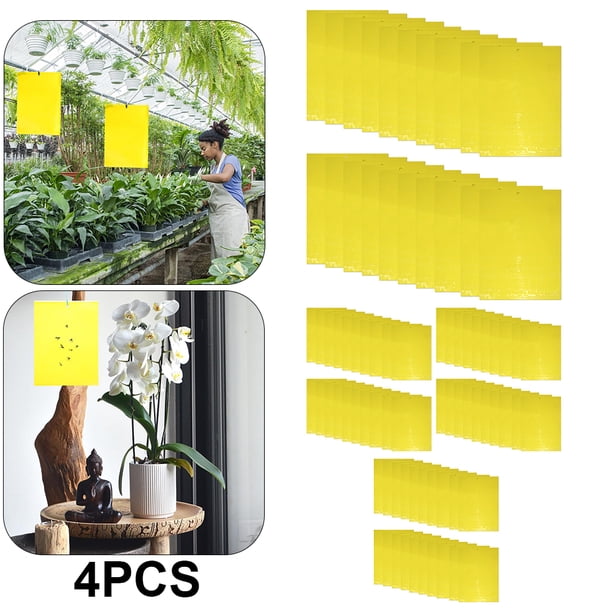 Trampas adhesivas para insectos - 20 piezas pegatinas papel moscas plantas interior