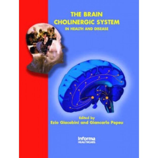 The Brain Cholinergic System in Health and Disease