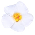 thumbnail image 1 of 50 Uds. De espuma de papel Hula Girl, colores de hibisco, flores surtidas, Lei, isla hawaiana, tema de selva tropical para disfraz, recuerdos de fiesta de cumpleaños, 1 of 5