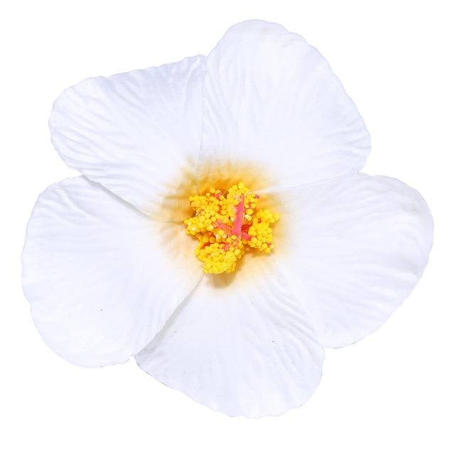 50 Uds. De espuma de papel Hula Girl, colores de hibisco, flores surtidas, Lei, isla hawaiana, tema de selva tropical para disfraz, recuerdos de fiesta de cumpleaños