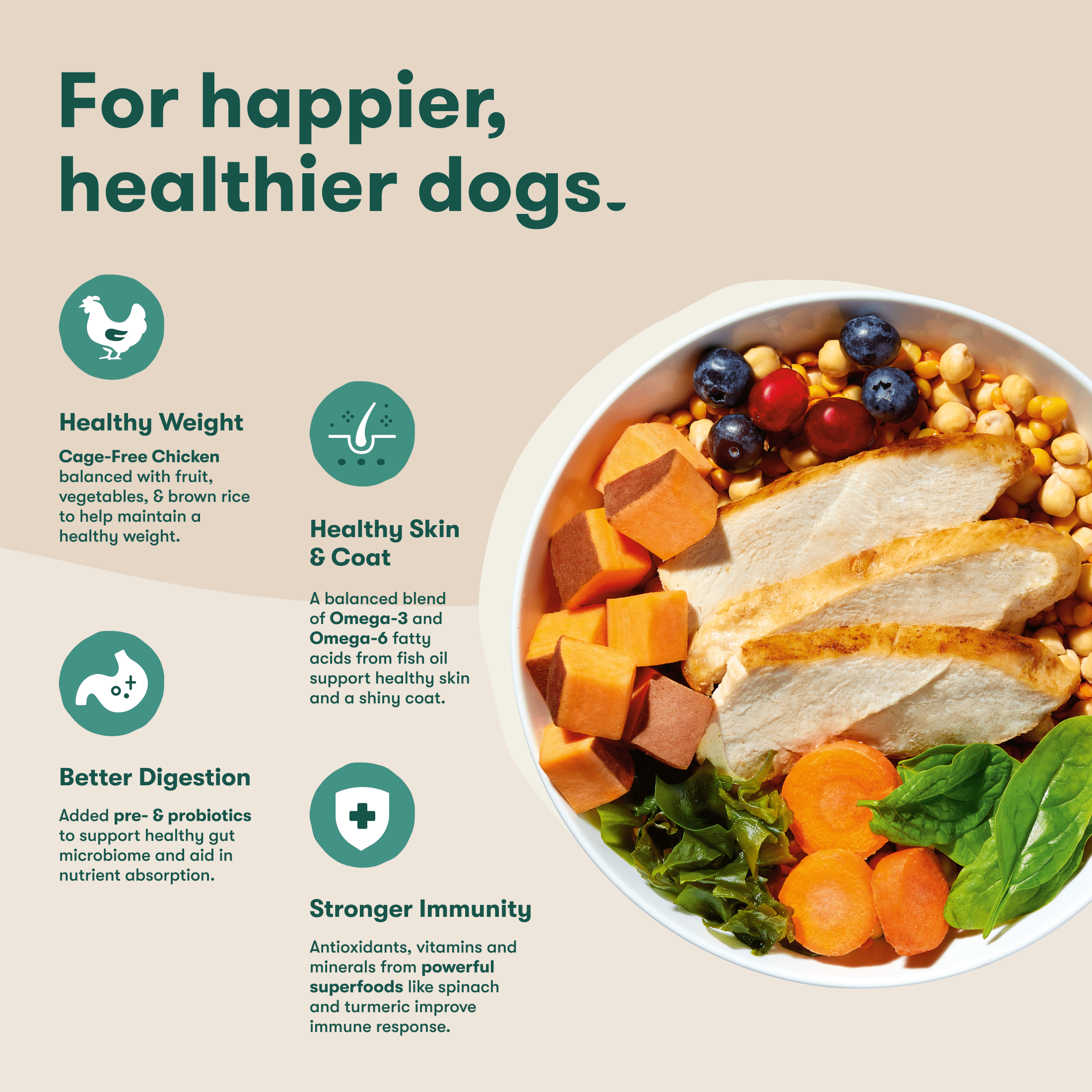 (4 pack) Jinx Chicken Sweet Potato Carrot Grain Free Dry Dog Food, 4 lb Bag