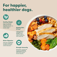 thumbnail image 4 of Jinx Chicken Sweet Potato Carrot Grain Free Dry Dog Food, 4 lb Bag, 4 of 12
