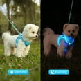 thumbnail image 4 of LED Dog Harness Rechargeable, Lighted Dog Vest Harness for Night Walking,Reflective Safety Vest for Small Dogs,Adjustable Soft Mesh, 4 of 8
