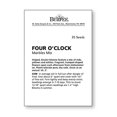 Marbles Mix Four O'Clock Seeds 35 seeds