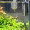 thumbnail image 1 of WHAMVOX Organizador De Comida Para Peces Transparente Resistente Para Acuarios Con De Anillo, 1 of 8