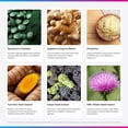 thumbnail image 3 of Livingood Daily Greens & Superfood Powder, Super Greens for Gut Health, Green Juice Powder with Spirulina, Chlorella, and Digestive Enzymes, Probiotics for Digestive Support, Berry, 30 Servings, 3 of 8