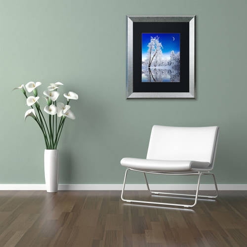 Trademark Fine Art "Emotive Ballad Canvas Art" Canvas Art by Philippe Sainte-Laudy, Black Matte, Silver Frame