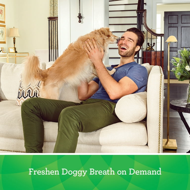 GREENIES BREATH BUSTER BITES Treats for Dogs Fresh Flavor 5.5 oz. Bag Walmart