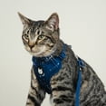thumbnail image 5 of Vibrant Life Mesh Celestial Cat Harness & Leash Set, Blue, One Size Fits Most, 5 of 7