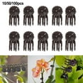 5Claw Brown Orchid Clip Garden Plant Clamp for Climbing Vine Stem