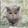 thumbnail image 1 of Cuadro Decorativo - Gatitos de la isla I Jr Impresión en canvas, estrechado, 1 of 1