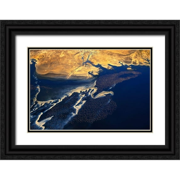 Chang, Phillip 18x13 Black Ornate Wood Framed with Double Matting Museum Art Print Titled - Thousands of birds