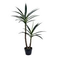 thumbnail image 1 of Vickerman FE192644 Yucca en Pot Vert de 44 Po avec Pot de Plantation en Plastique, 1 of 1