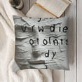 thumbnail image 3 of YINGXI  Valentine's Day Gifts for Him Her, Anniversary Birthday Gifts for Husband Wife Boyfriend Girlfriend, Couple Gifts, You are The Best Thing I Found on The Internet Pillow Covers 12x12in, 3 of 5