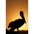 thumbnail image 2 of Berzel, Erin 17x24 Black Ornate Wood Framed with Double Matting Museum Art Print Titled - Pelican Silhouette II, 2 of 4