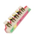 thumbnail image 4 of Model, Eco Friendly Decoration Teeth Study Model  For  Hospital For Dentist For Classroom Hospital For Student, 4 of 8
