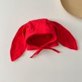 thumbnail image 2 of Meihuid Cute Bunny Ear Hat for Newborns - Perfect for Baby Hospital, 2 of 2