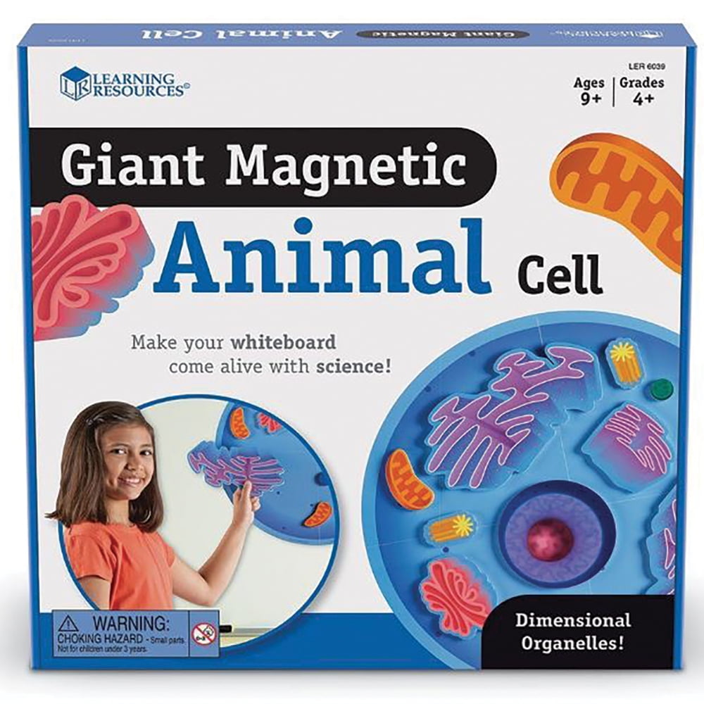 Giant Magnetic Animal Cell Model Giant Magnetic Animal Cell Model