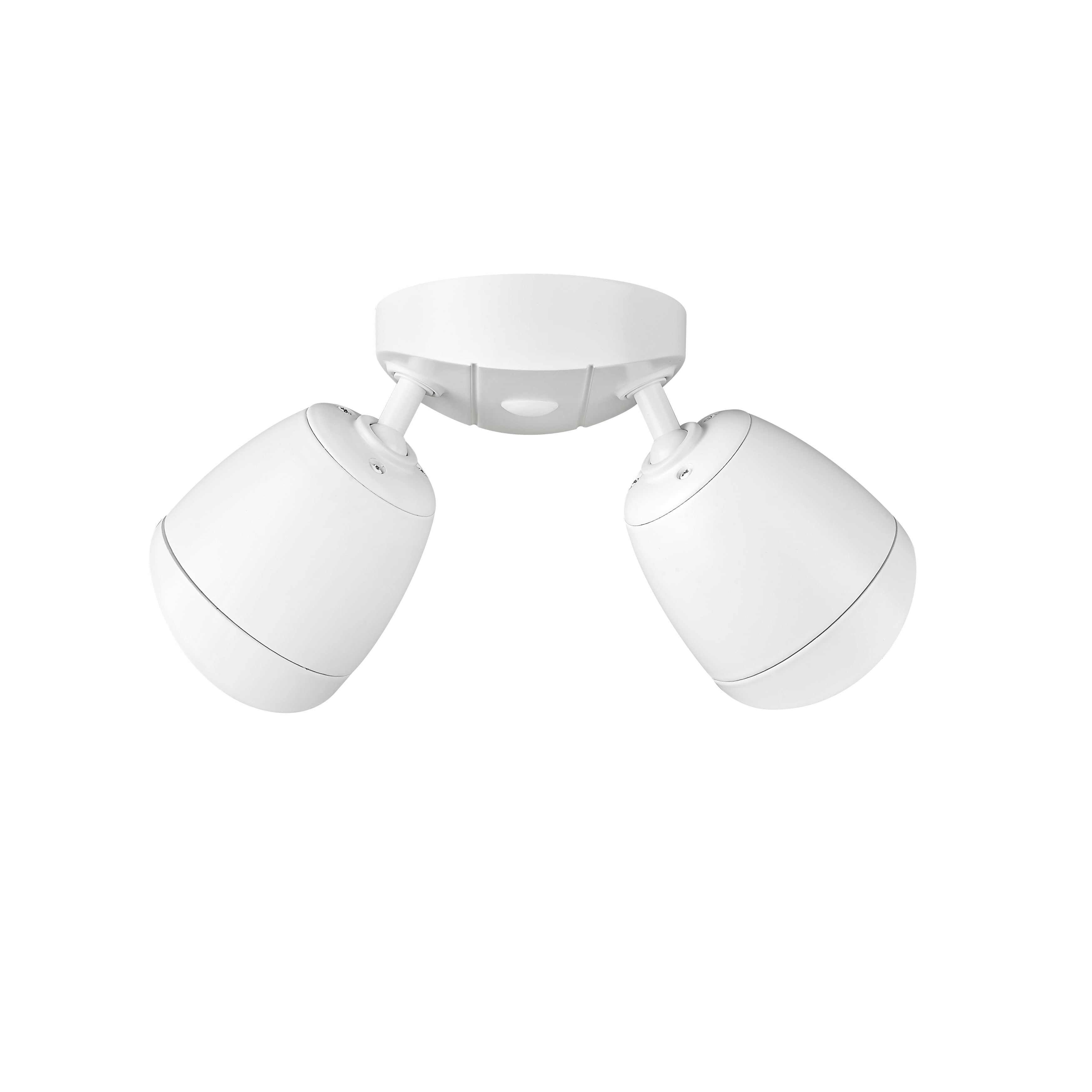 Millennium Lighting   2 Light Flood Lights Matte White
