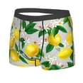 thumbnail image 2 of Fotbe Lemon Seamless Pattern Oil Painting Effect Men’s Total Support Pouch Boxer Briefs, X-Temp Cooling, Moisture-Wicking Underwear, Regular, Long-leg and Trunk-Small, 2 of 9