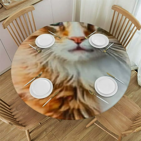 

Sheronv Cute Cat Round Table Cover Stain Resistant Washable Indoor Outdoor Kitchen Dining Wedding Parties 100% Polyester for Picnic Farmhouse Tablecloth 38 -42