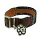 thumbnail image 5 of Collar para Perro básico GS PETS con Placa MODELO 10 Talla XS multicolor, 5 of 6