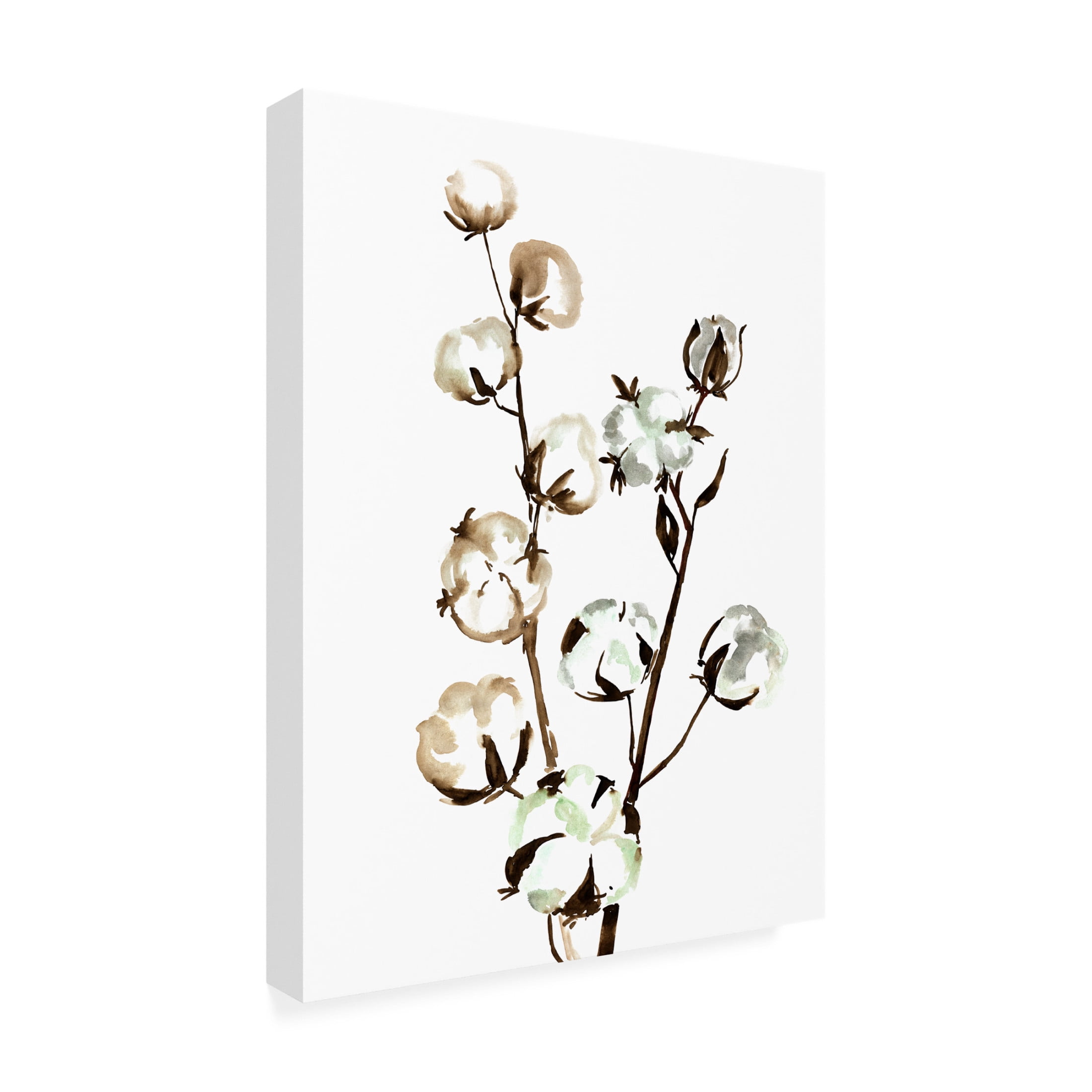 Trademark Fine Art Rosana Laiz Blursbyai Watercolor cotton branch II Canvas Wall Art