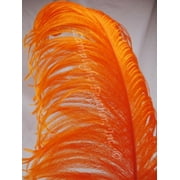 Orange Ostrich Feather Plume Premium 18-24  inch per Each
