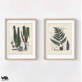thumbnail image 2 of Collected Ferns V and VI, Set of 2 Vintage Rustic Fern Branch Poster, Last Minute Gift Idea, Extra Large Lobby Decor, Fern Bathroom Wall Art, 2 of 9