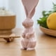 thumbnail image 2 of Trigo Paja Conejo Cuchara Soporte Arroz Pala antiadherente Herramienta de cocina (Rosa/2) Wdftyju Libre de BPA, 2 of 5