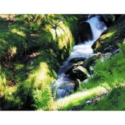 Glendalough Co Wicklow Ireland - Waterfall Poster Print by The Irish Image Collection - 17 x 13
