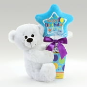 Birthday Bear Plush and Candy Gift