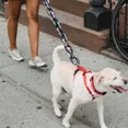 thumbnail image 3 of Cadenas Para Perros Correas Para Perros Medianos Cadena Gran, 3 of 6