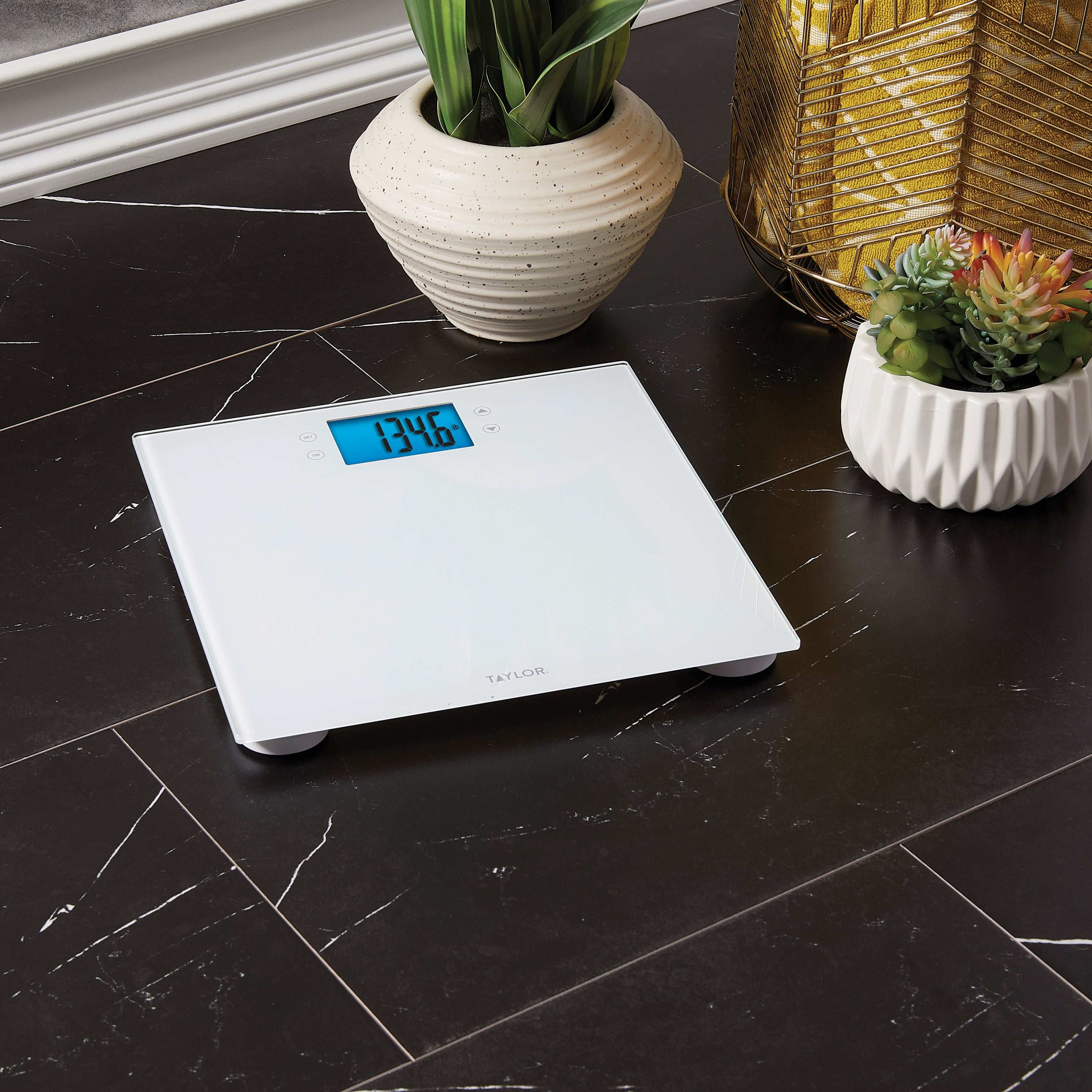 Taylor 11.8" x 11.8" Digital Glass Wellness Scale Battery, FSA HSA Eligible, 400 lb Capacity, White