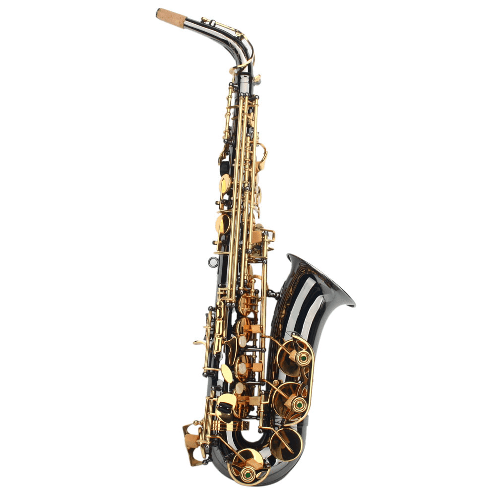 Tcbosik Eb Saxophone for Beginners with Box, Strap, Lubricants, Gloves and Cleaning Kit, Black