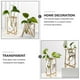 thumbnail image 1 of Iron Art Hydroponic Container Glass Vase for Storage 1Pcs Nordic Style, 1 of 2
