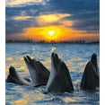 thumbnail image 3 of Animal Duvet Cover Set, Photo of the Bottle Nosed Dolphins in Sunset Ocean Sea Animals Aquatic Print, Decorative 3 Piece Bedding Set with 2 Pillow Shams, Calking Size, Blue Grey Orange, by Ambesonne, 3 of 3