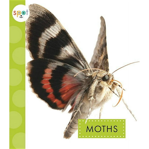 Spot Creepy Crawlies: Moths (Paperback)
