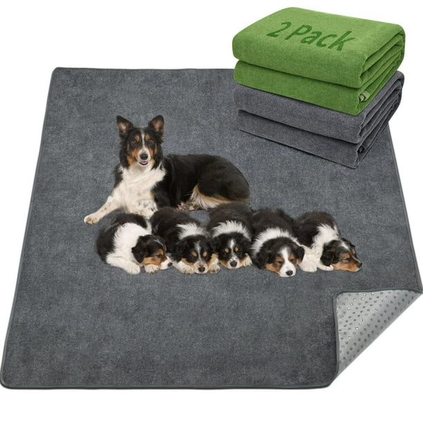 Alfombrilla reutilizable para perros LOOBANI extra grande, 2 paquetes de 180 x 180 cm