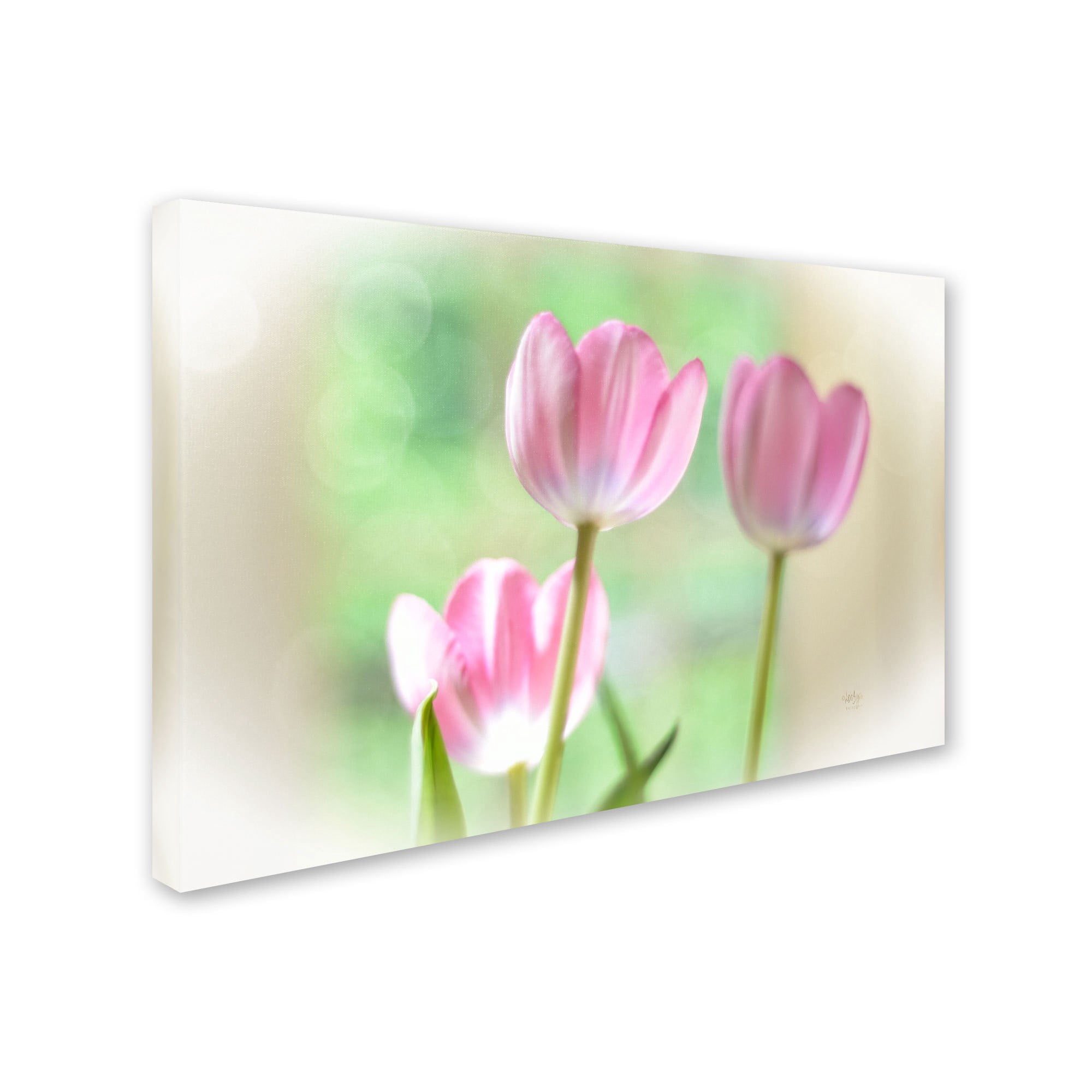 Trademark Fine Art "Three Pink Tulips" Canvas Art by Lois Bryan