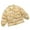 Beige, variant on Toddler Boys Full Zip Bomber Jackets Warm Winter Quilted Coat Little Girls Boys Cute Printed Waterproof Jacket Outerwear with Pockets White