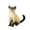 F, variant on MeetYTOYS Cute Miniature Cats Landscape Lovely Figurines Fairy Home Garden Animals Christmas Birthday Gift for Home Garden Decor Ornament Supplies 1PC