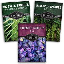 Brussels Sprouts Seeds 3 Pack Collection - Full Sun Biennial Vegetable