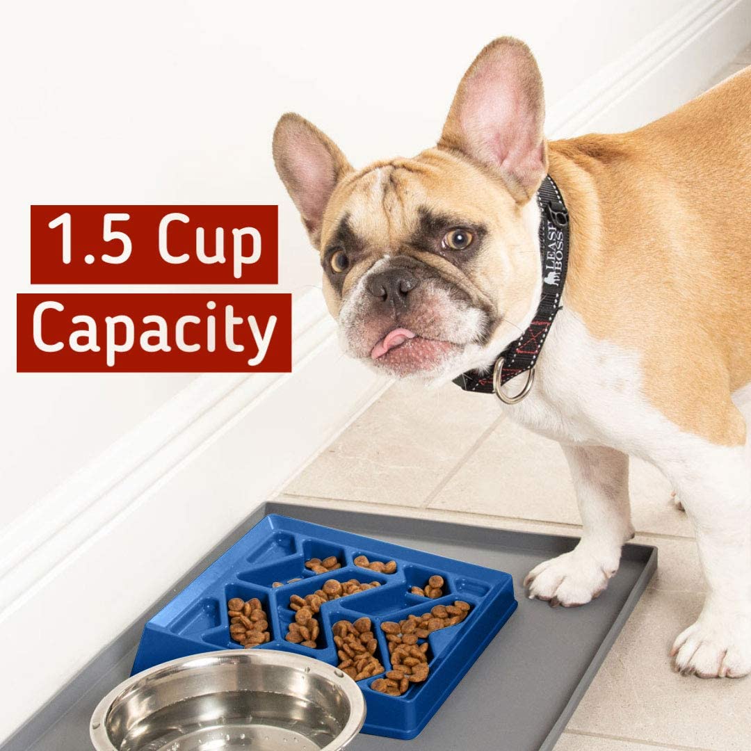 Best slow feed dog bowl for french bulldog online